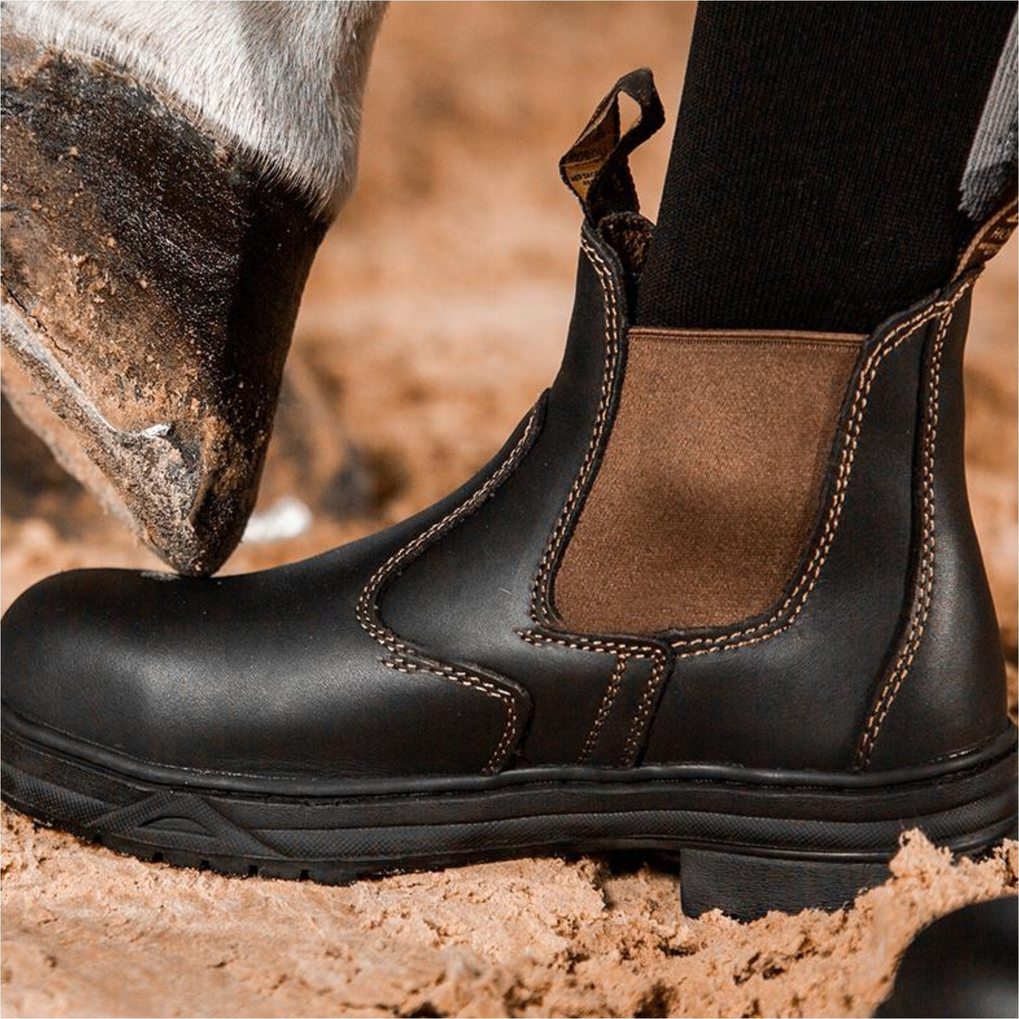 Mountain Horse Protective Bottes Jodhpur Brun